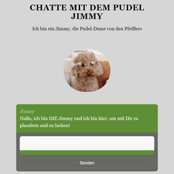 AKTION: Individueller KI Chatbot - Personalisiert mit eigenen Informationen