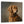 Laden Sie das Bild in den Galerie-Viewer, Hunde Portrait auf Leinwand - Ölgemälde