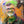 Laden Sie das Bild in den Galerie-Viewer, Pop-Art vom Foto - Colourstyle 404 (col404)