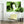 Laden Sie das Bild in den Galerie-Viewer, Pop-Art vom Foto - Colourstyle 106 (col106) - Künstlerisches Pop-Art Bild vom eigenen Foto