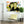 Laden Sie das Bild in den Galerie-Viewer, Pop-Art vom Foto - Colourstyle 124 (col124) - Künstlerisches Pop-Art Bild vom eigenen Foto