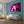Laden Sie das Bild in den Galerie-Viewer, Pop-Art vom Foto - Colourstyle 143 (col143) - Künstlerisches Pop-Art Bild vom eigenen Foto