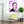Laden Sie das Bild in den Galerie-Viewer, Pop-Art vom Foto - Colourstyle 164 (col164) - Künstlerisches Pop-Art Bild vom eigenen Foto