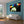 Laden Sie das Bild in den Galerie-Viewer, Pop-Art vom Foto - Colourstyle 244 (col244) - Künstlerisches Pop-Art Bild vom eigenen Foto