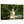 Laden Sie das Bild in den Galerie-Viewer, Fantasie-Portrait - Wassernixe - Fantasieportrait