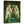 Laden Sie das Bild in den Galerie-Viewer, Fantasie-Portrait - Hell-grünes Elfen Portrait - Fantasieportrait