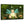 Laden Sie das Bild in den Galerie-Viewer, Fantasie-Portrait - Feen Baby Portrait - Fantasieportrait