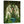 Laden Sie das Bild in den Galerie-Viewer, Fantasie-Portrait - Hell-grünes Elfen Portrait - Fantasieportrait
